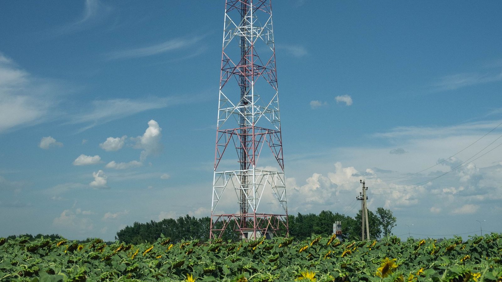Antenne relais 4G/5G au milieu d'un champ de tournesols en pleine campagne française