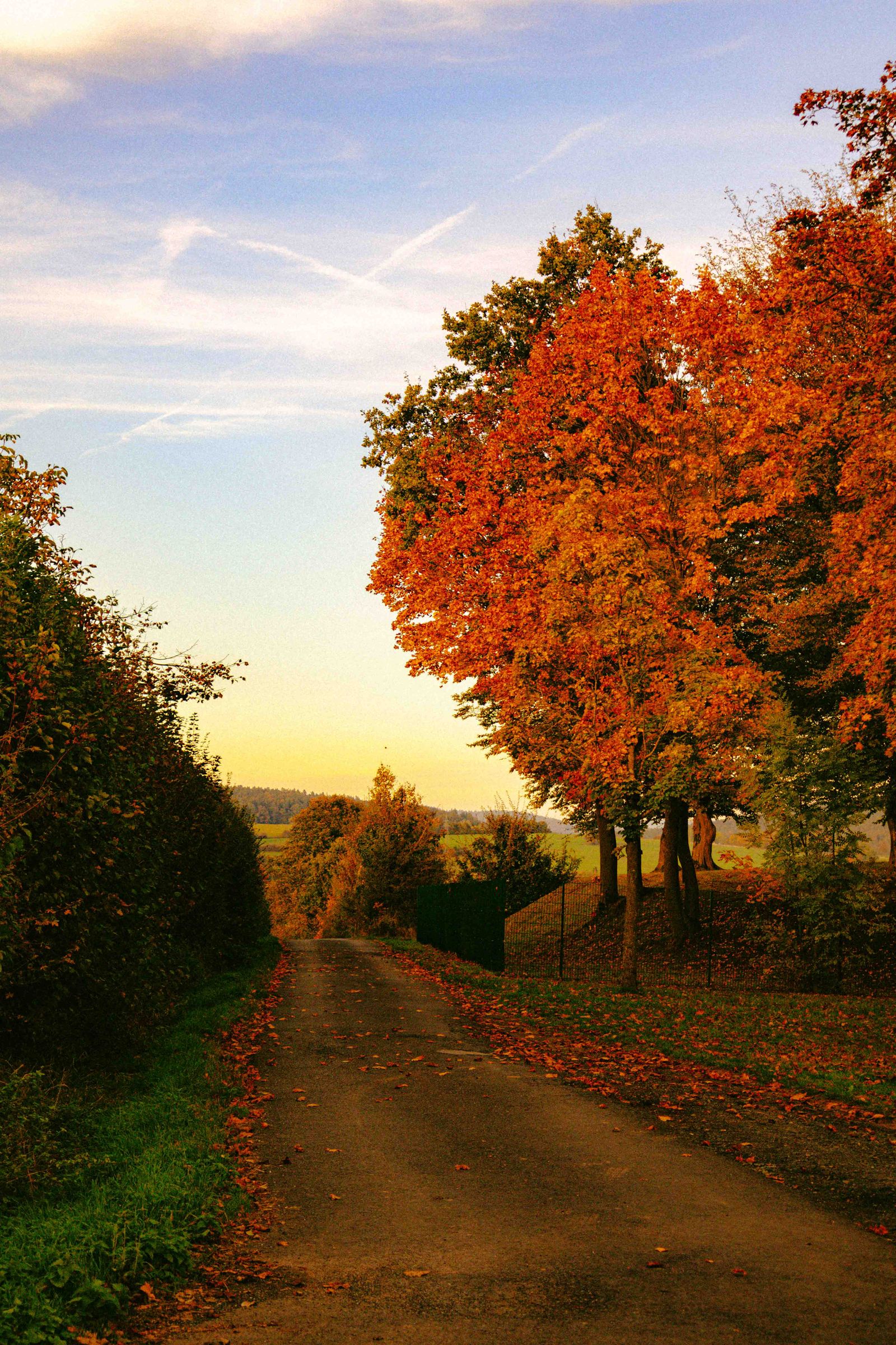 Route de campagne bordée d'arbres aux couleurs de l'automne, menant à une location de vacances isolée sans fibre optique